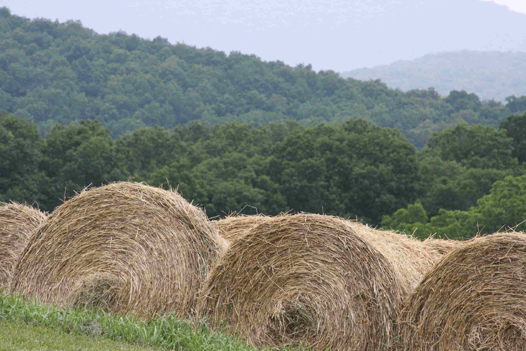 West Virginia Chesapeake Bay Program Agriculture