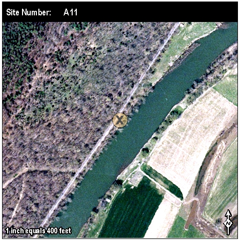 Site: A 11
