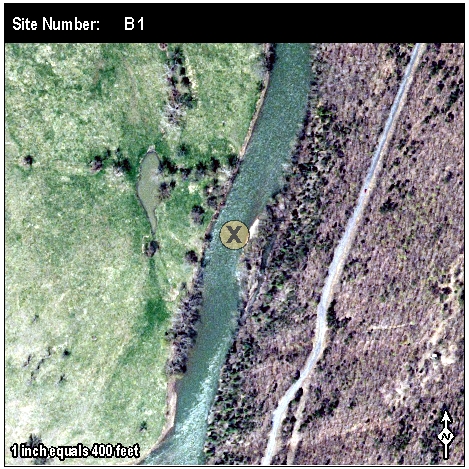 Site: B 1