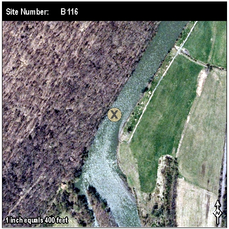 Site: B 116