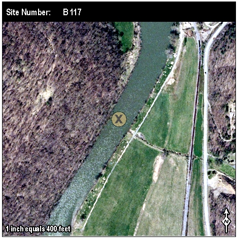 Site: B 117