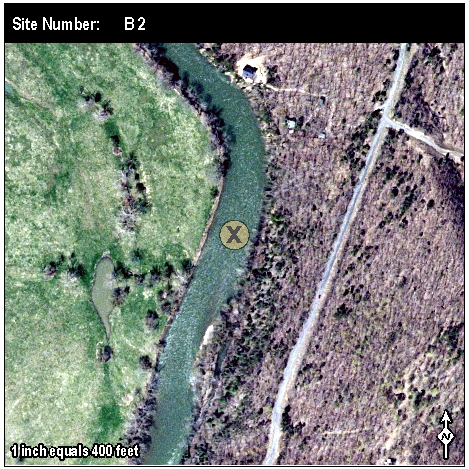Site: B 2