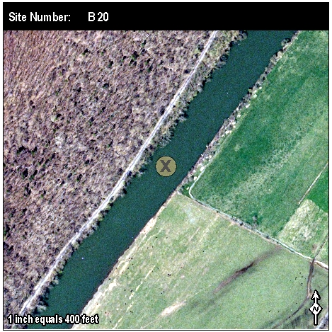 Site: B 20