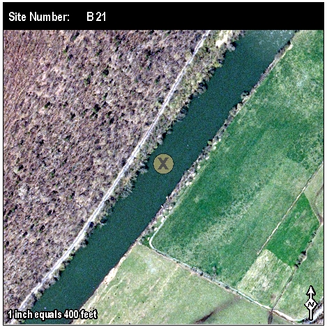 Site: B 21