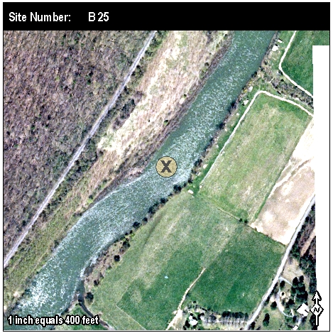 Site: B 25