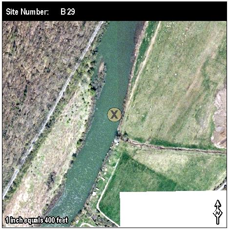 Site: B 29