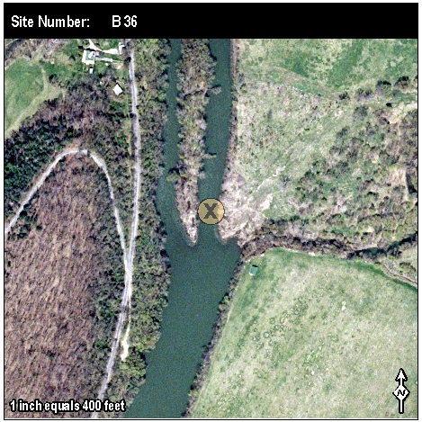Site: B 36