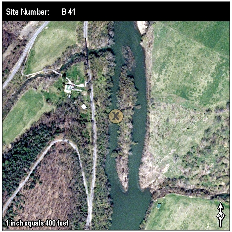 Site: B 41