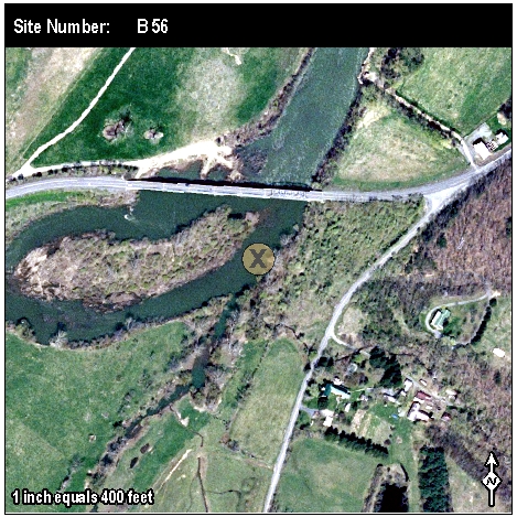 Site: B 56