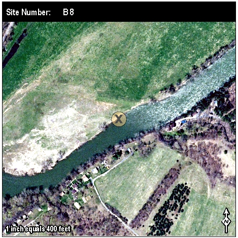 Site: B 8