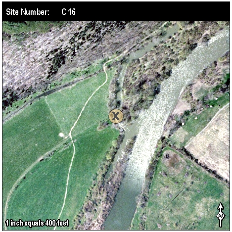 Site: C 16