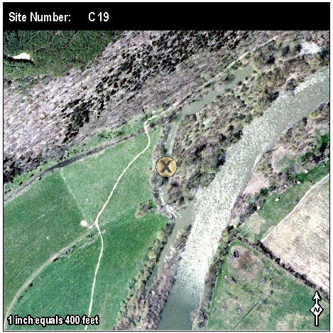 Site: C 19