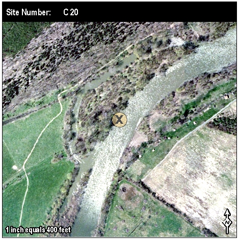 Site: C 20