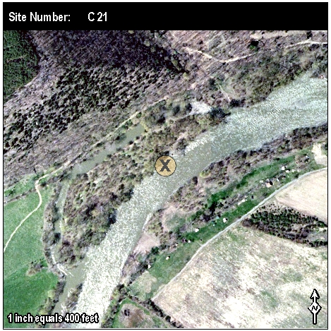 Site: C 21