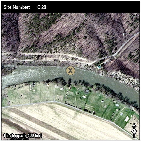 Site: C 29