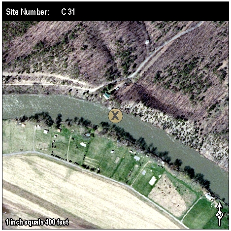 Site: C 31