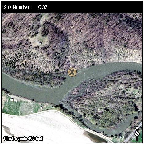 Site: C 37