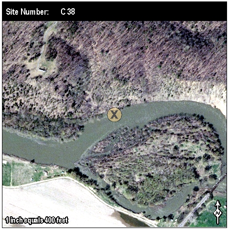 Site: C 38