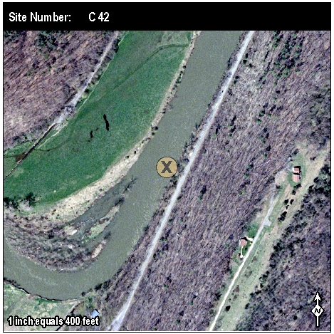 Site: C 42