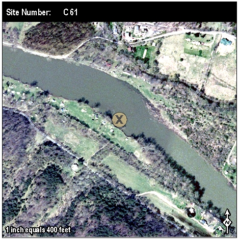 Site: C 61