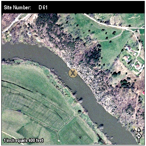 Site: D 61