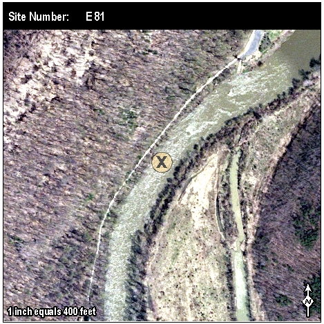 Site: E 81