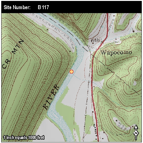 Site: B 117