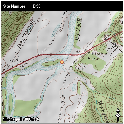 Site: B 56