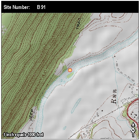 Site: B 91
