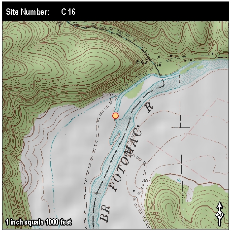 Site: C 16