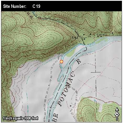 Site: C 19