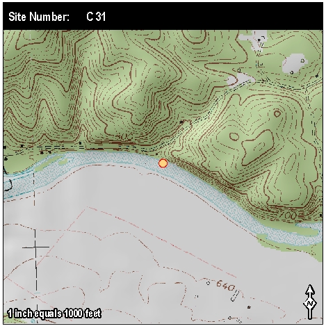 Site: C 31