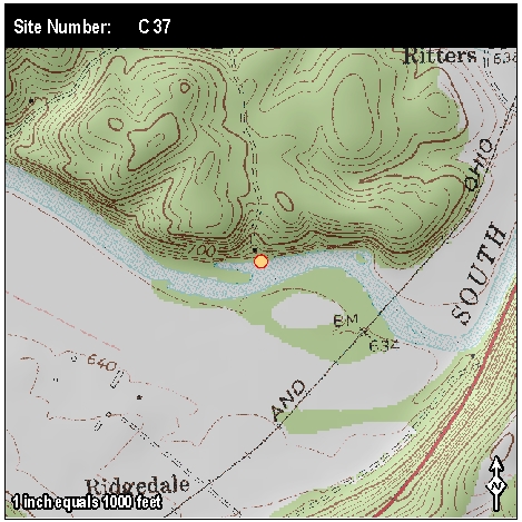 Site: C 37