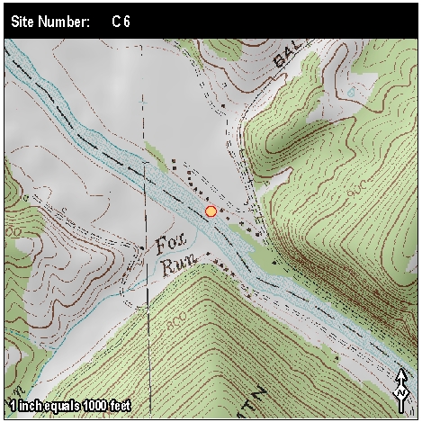 Site: C 6