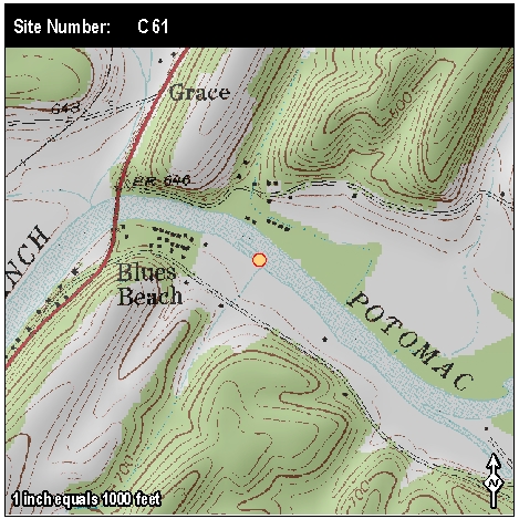 Site: C 61