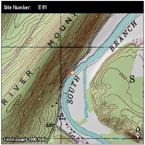 Site: E 81