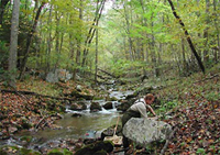 Spring Run