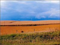 A Windmill in West Lane County - Marit Ehmke