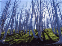 Top of the World - Kim Hemenway