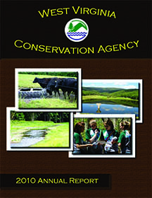 2010 Annual Report
