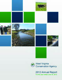 2012 Annual Report