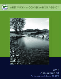 2013 Annual Report