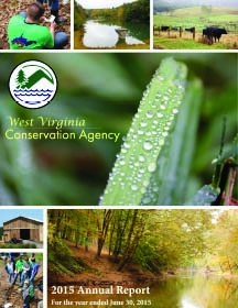 2015 Annual Report