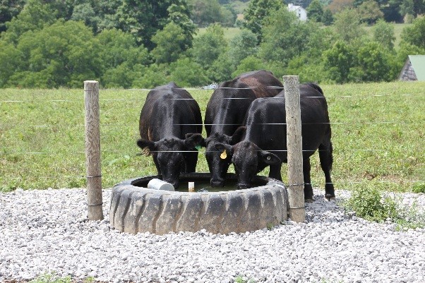 Watering System