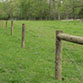 Exclusion Fence