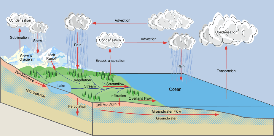 Hydrological Cycle