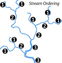 stream-order